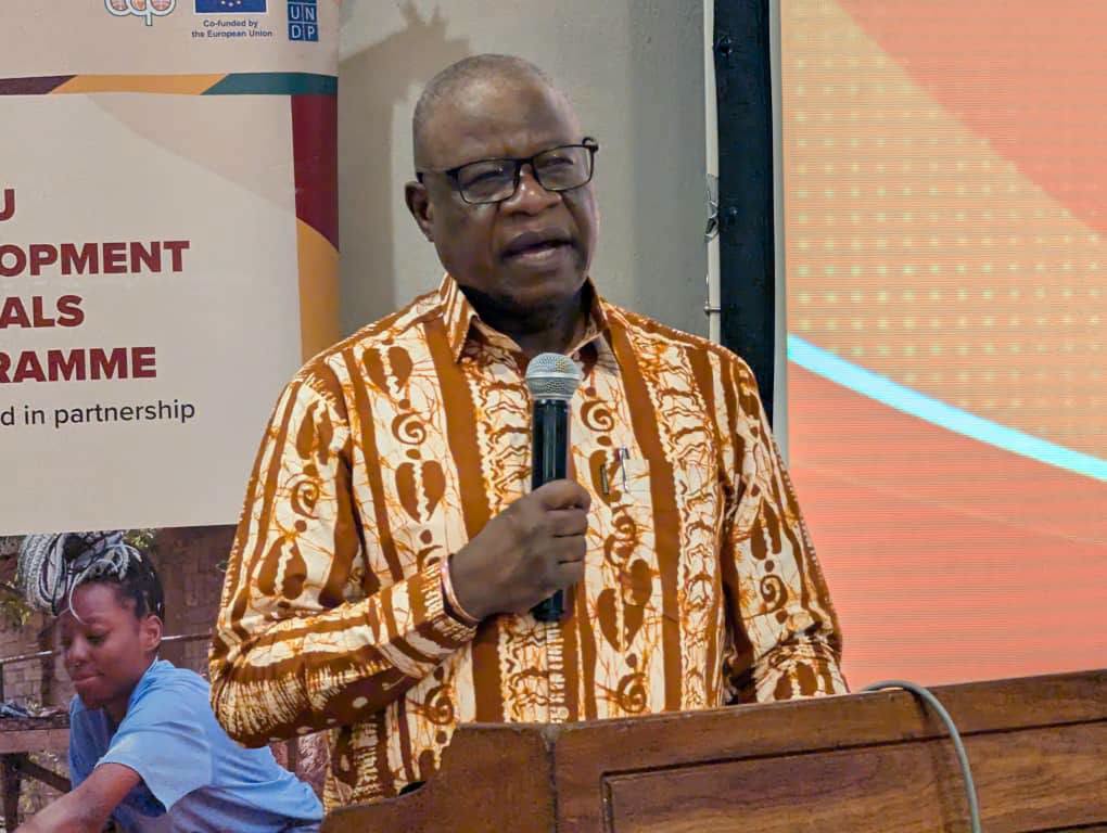 Zambia : Government Launches Strategy To Formalise Artisanal Mining