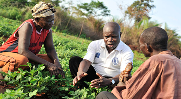Zambia : Govt. To Modernize Agric Extension Services