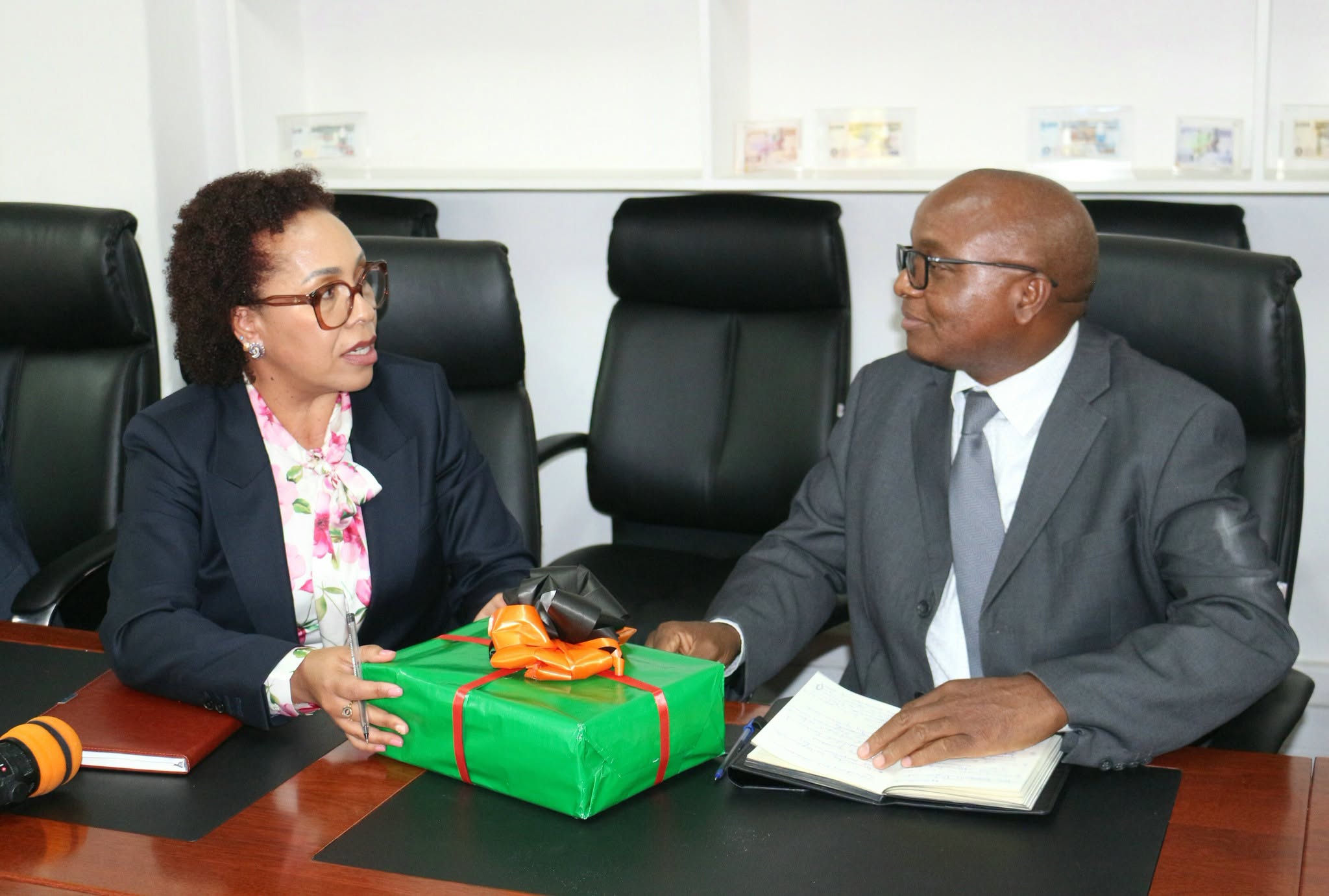 Zambia targets 82% domestic financing for 2026 budget, says Treasury Secretary