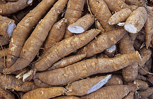 Zambia produces Cassava worth $917m