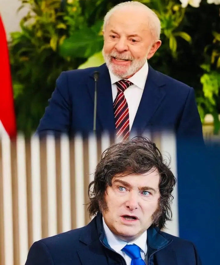 Argentine President Milei described Brazilian President Luiz Inácio Lula da Silva as a “communist thief”