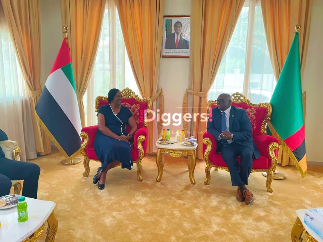 Trust the electoral process, Dubai Consul General urges citizens