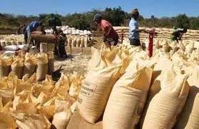 Zambia : Hamukale Seeks Higher FRA Maize Target