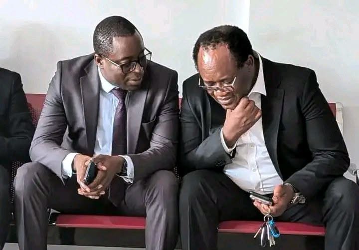 Brian Mundubile, Makebi Zulu handed to police for questioning over alleged threats to national security