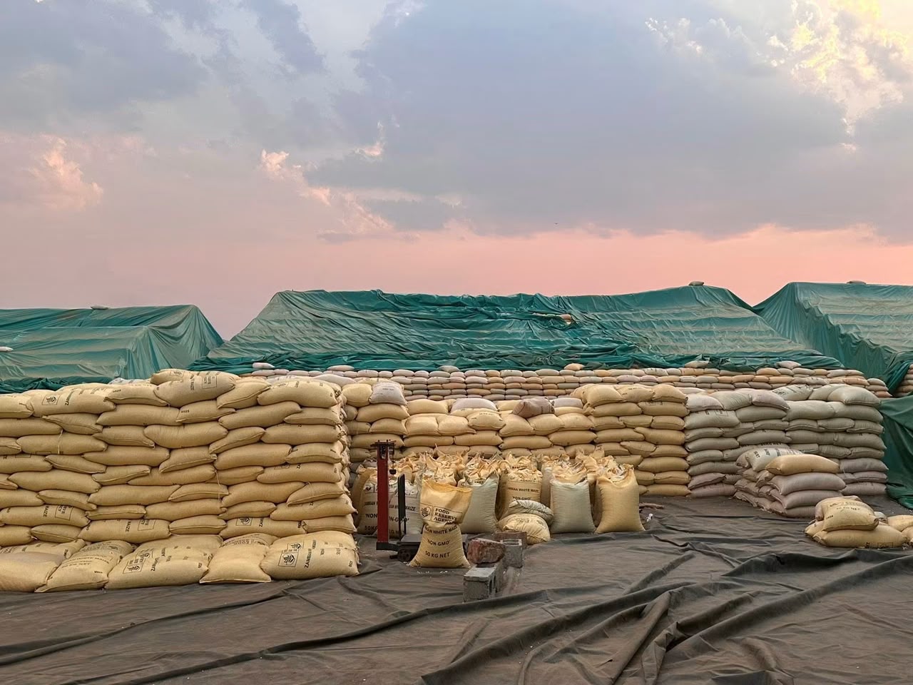 FRA Defends maize buying policy.