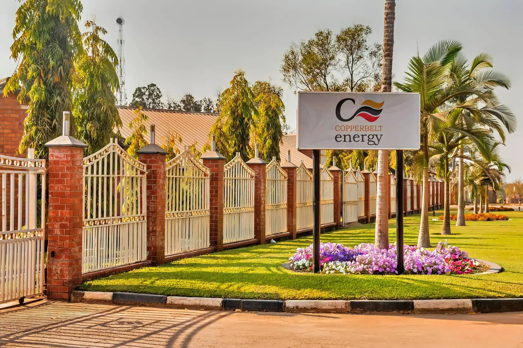 Why is CEC’s share price falling despite a $1 billion market cap?