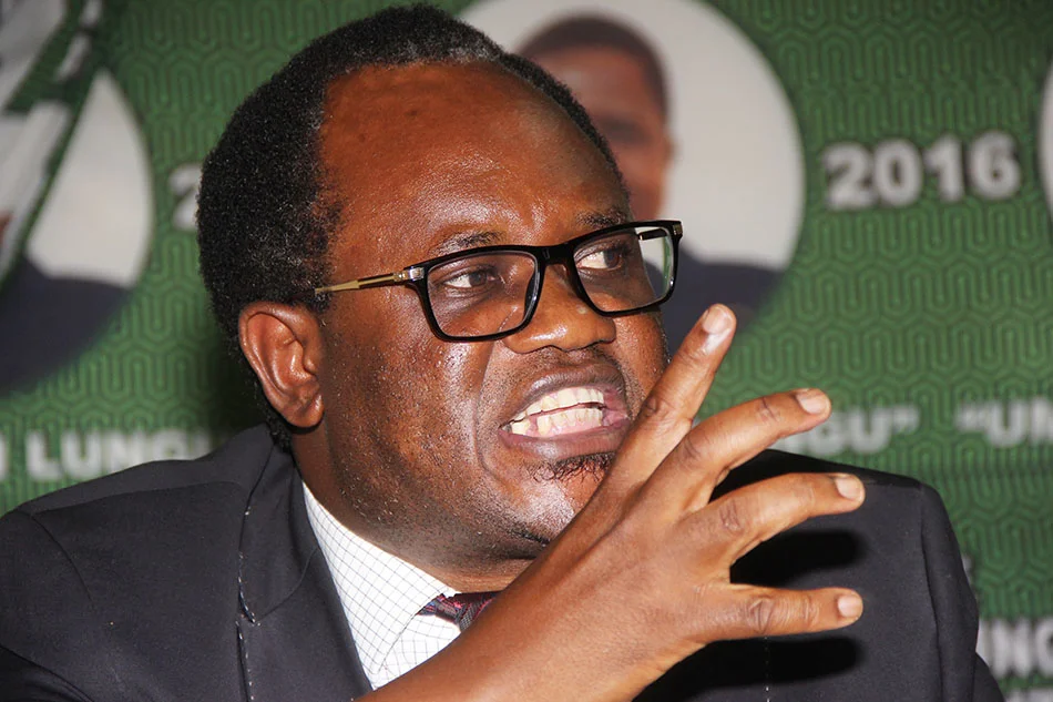 We want a united Zambia – Mundubile