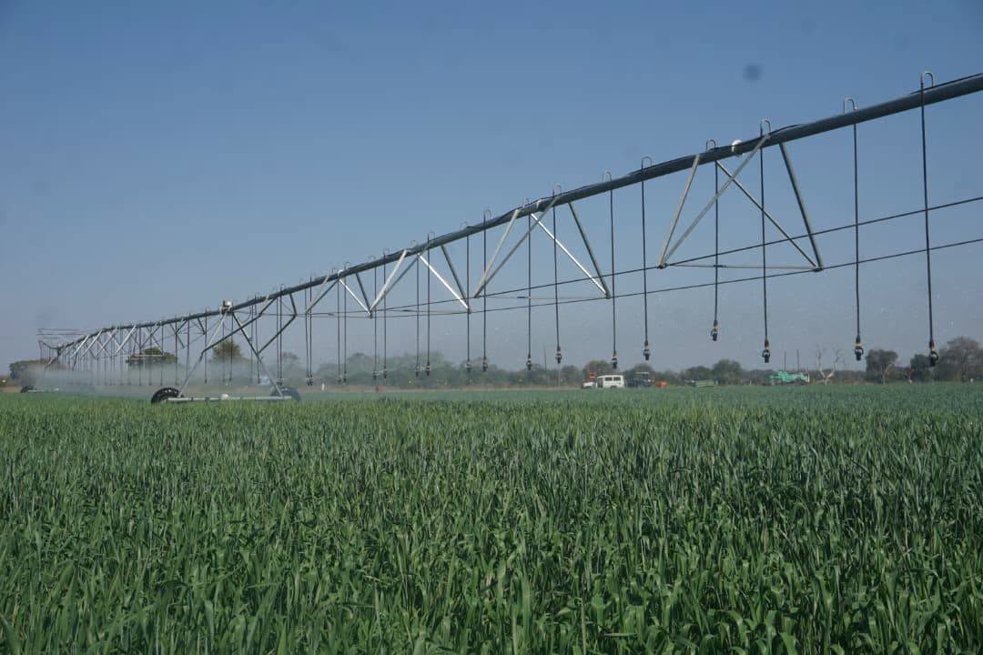 Zambia : Govt. To Expand Irrigation Development To 500,000 Hectares By 2031