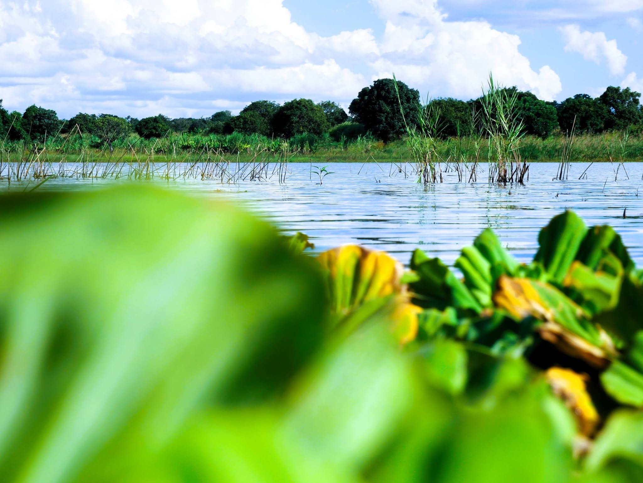 Zambia : Govt. Commissions Two Dams In Luangeni Constituency