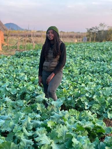 TBZ facilitating slave out-grower farmer contracts
