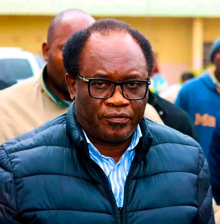“Militia Story is a ruse” says Brian Mundubile… advises Zambians to face reality