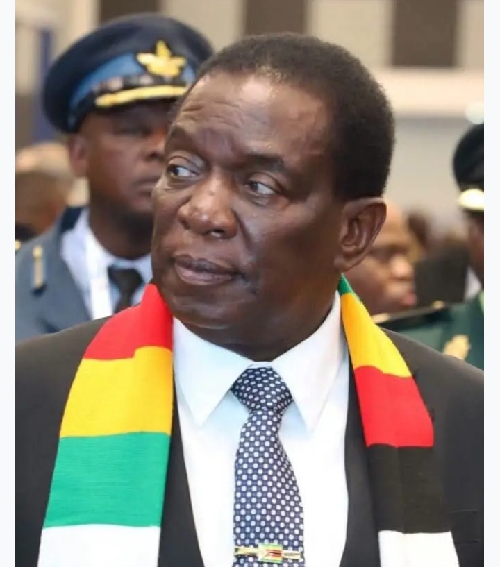 Zim citizen has asked the ConCourt to strike down the country’s newest constitutional amendment