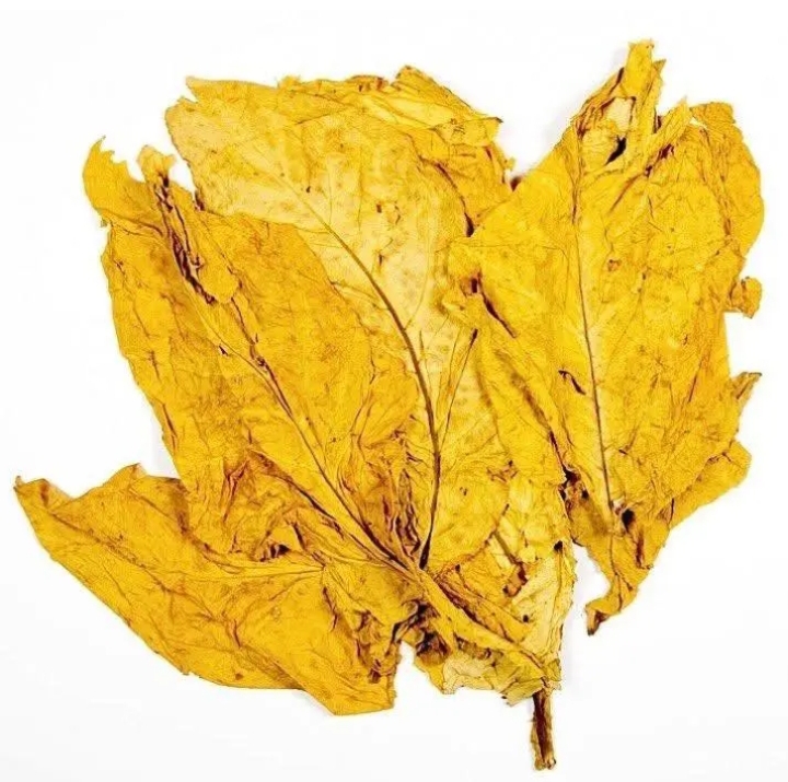 PARAMOUNT CHIEF GAWA UNDI OF THE CHEWA PEOPLE BANS THE GROWING OF VIRGINIA TOBACCO IN ALL CHEWA CHIEFDOMS ACROSS CENTRAL AFRICA