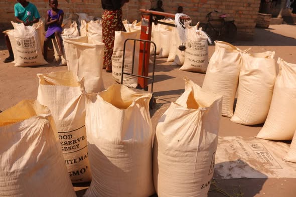 Zambia : Government Assures Full Maize Purchase In Central Province