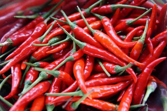 Chilli contract farming viable because it’s not a political crop – Hematon