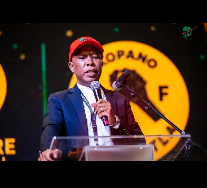 Malema says xenophobia is self-hate, you chase Zimbabweans but call white foreigners investors
