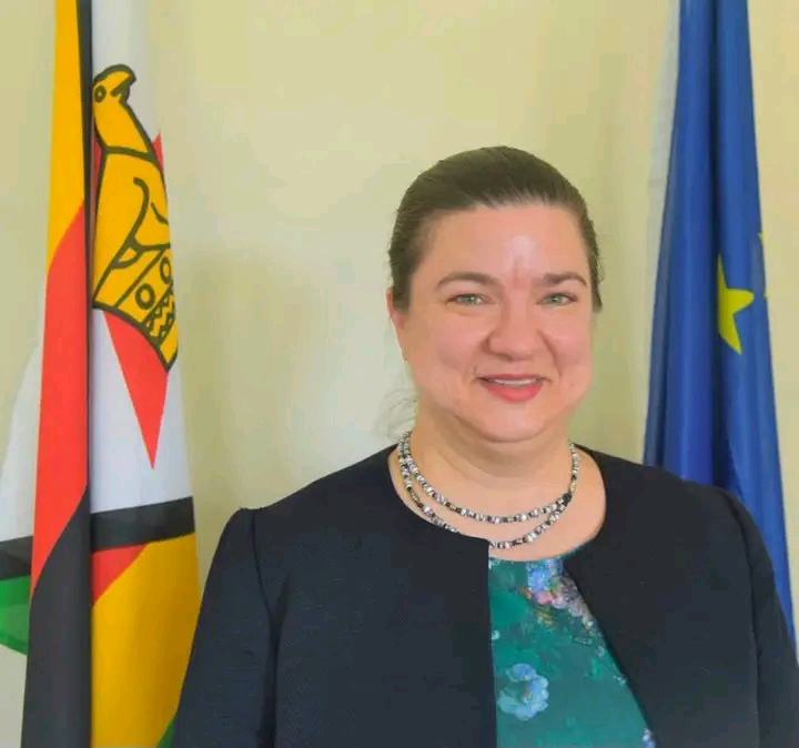EU Ambassador to Zimbabwe Katrin Hagemann dies suddenly in Harare