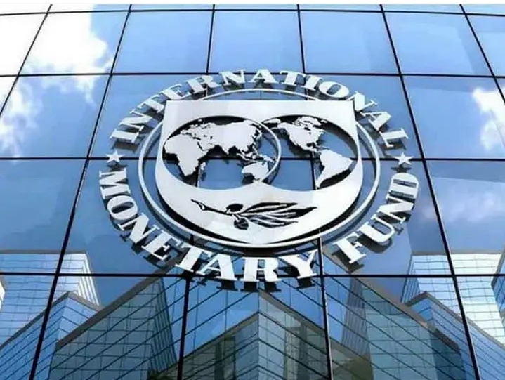 UPND Embraced the IMF and Will Lose the People on 13th August, 2026- Professor Namukolo Miyanda