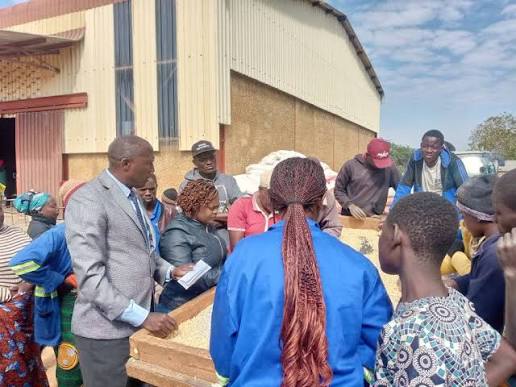 Zambia : FRA Buys Over 17,000 Bags Of Maize-Kasama