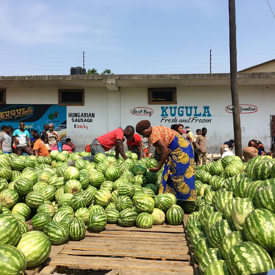 Watermelon prices drops amid high market supply