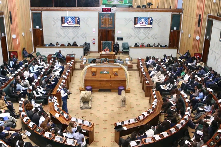 WHAT THE LAW STATES ON WHO QUALIFIES TO BE COUNCILLOR UNDER PROPORTIONAL REPRESENTATION SYSTEM