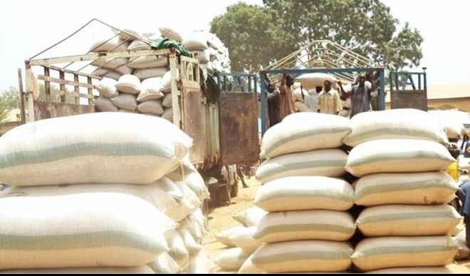Maize costs K6.56/Kg to produce in 2025/2026 season – Agronomist