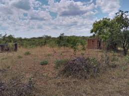 Traditional land is unsellable, but traditional leaders are contradicting it